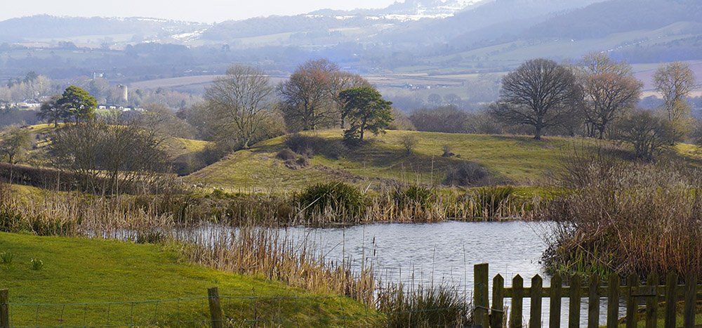 View across the duck pond at The Draen